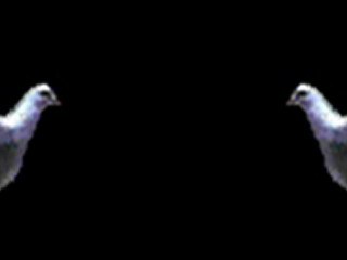 Hüseyin Ali Rıza Albayrak Efsane