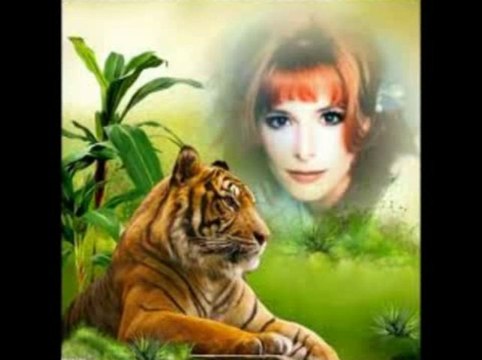 dj big yayo-Sean Paul-Lil Jon-The Game-EvE-Ice Cube-Lil Kim-Nas & Mylene Farmer-Body Smell RmX 2013 clip