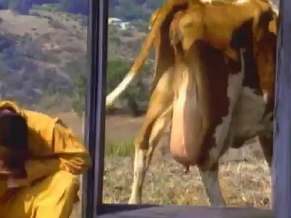 Paperboy - Ditty (Krazytoons Remix) (DVD) [1993] [HQ]