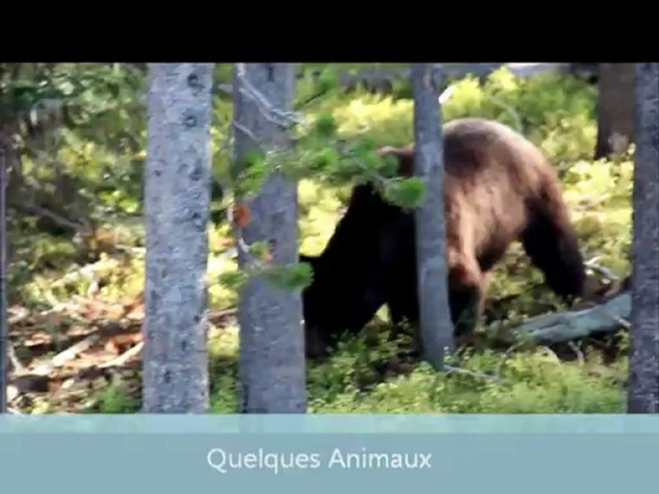 yellowstone.wmv