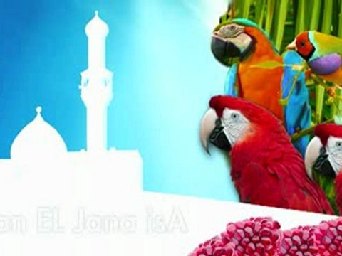 Azan _ Al Afasi ____ العفاسى أذان الجنة