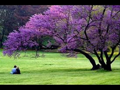 Mevsimler Yas Tutup Çöller Ağlasın