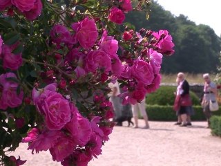 Rendez-vous aux jardins 2011
