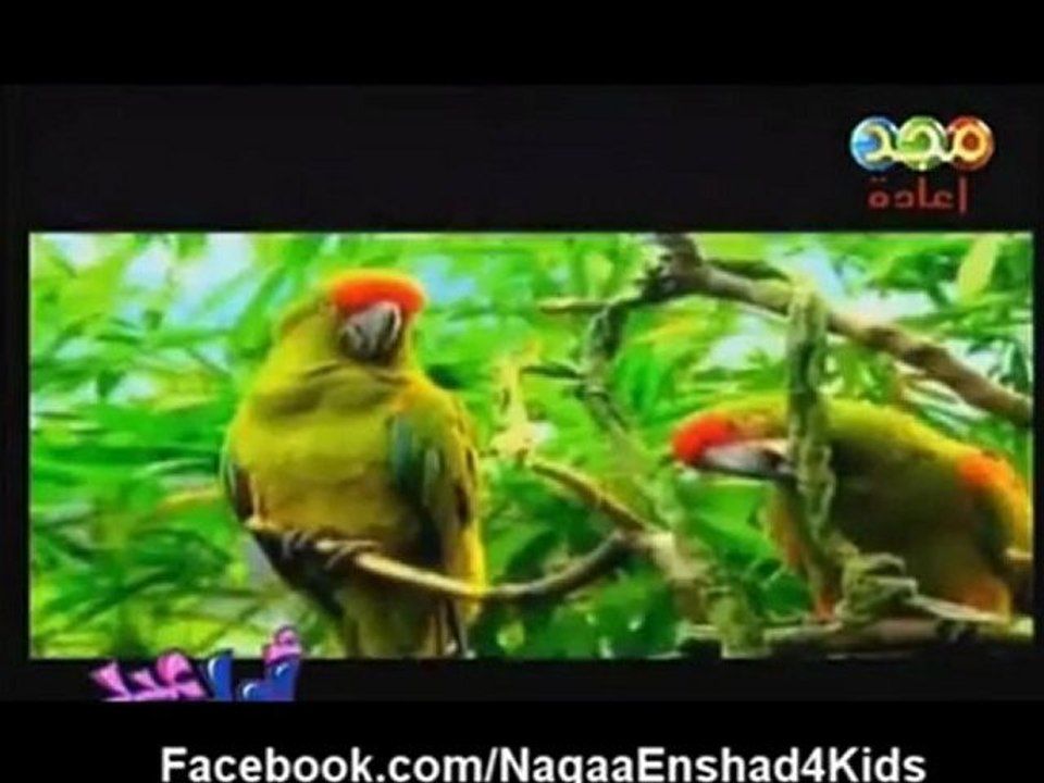 من قلبك قول يا إنسان سبحان الله الرحمن