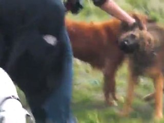 Leeroy revient décoré!