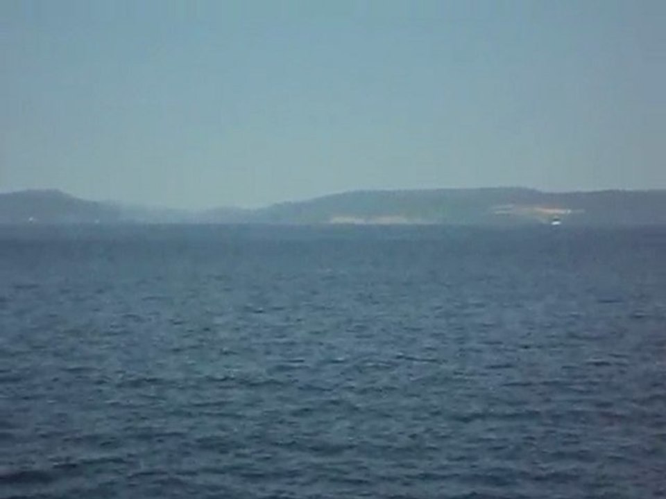 tadoussac baleines