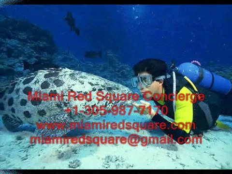 СПОРТИBНЫЙ ОТДЫХ В МАЙАМИ - ДАЙВИНГ, ЙОГА, ТЕННИС, ГОЛЬФ.