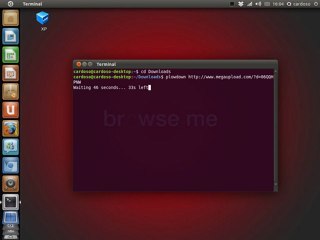 Baixando um arquivo pelo terminal utilizando o aplicativo Plowshare