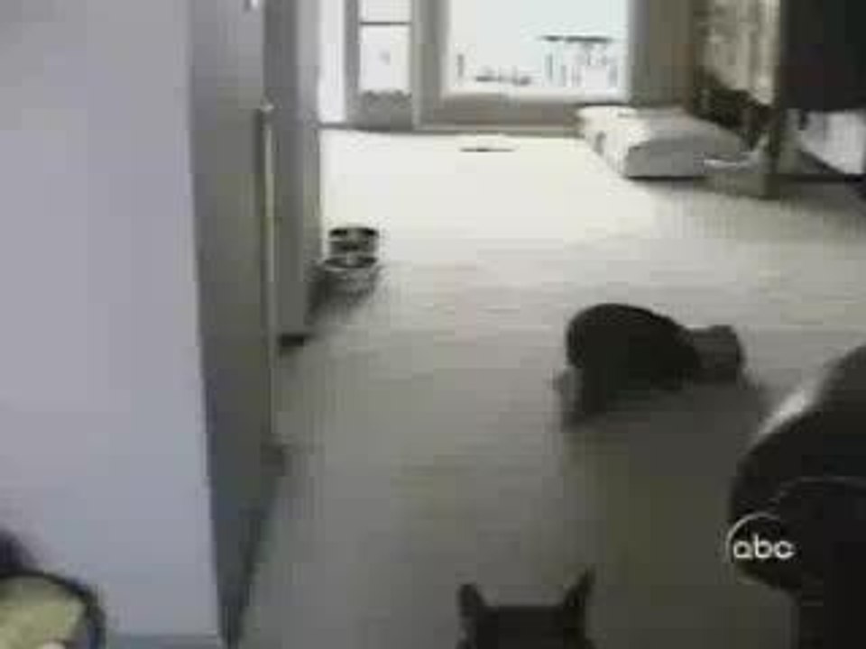 Lui, un futur joueur de foot italien...