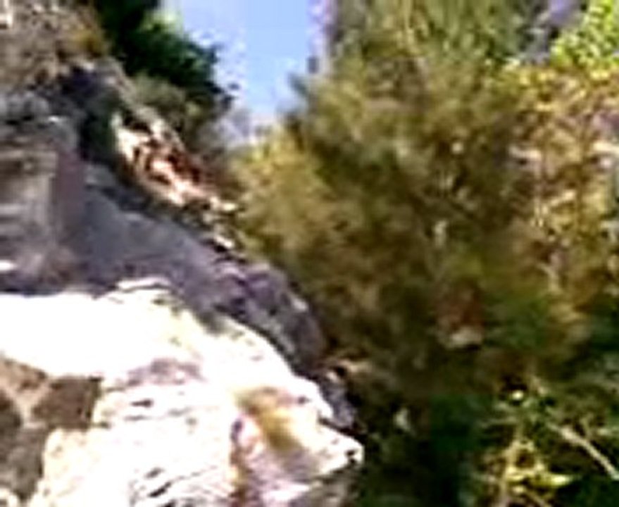 İstanbul, İzmir, Ayvalık, Çeşme, Foça, Kuşadası, Selçuk, Efes, Bergama İngilizce-Norvecce Profesyonel Kokartlı Turist Rehberi ---Kazdağları Turu 4-Sahindere Kanyonu /// Tour to Ida Mountains 4-Sahindere Gorge