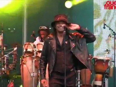 Vieilles Charrues 2011 Le Best of