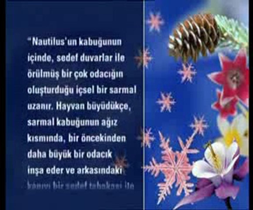 Altın dikdörtgen ve sarmallardaki tasarım