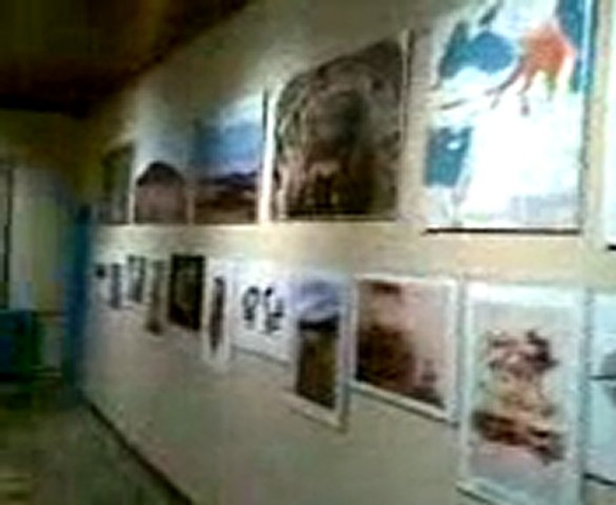 İstanbul, İzmir, Ayvalık, Çeşme, Foça, Kuşadası, Selçuk, Efes, Bergama İngilizce-Norvecce Profesyonel Kokartlı Turist Rehberi ---Pamukkale Galeri Halı, Denizli /// Denizli Galeri carpet , Denizli, Turkey
