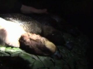 Teaser Chasse à la Hutte et au Gabion volume3 - Naturabuy