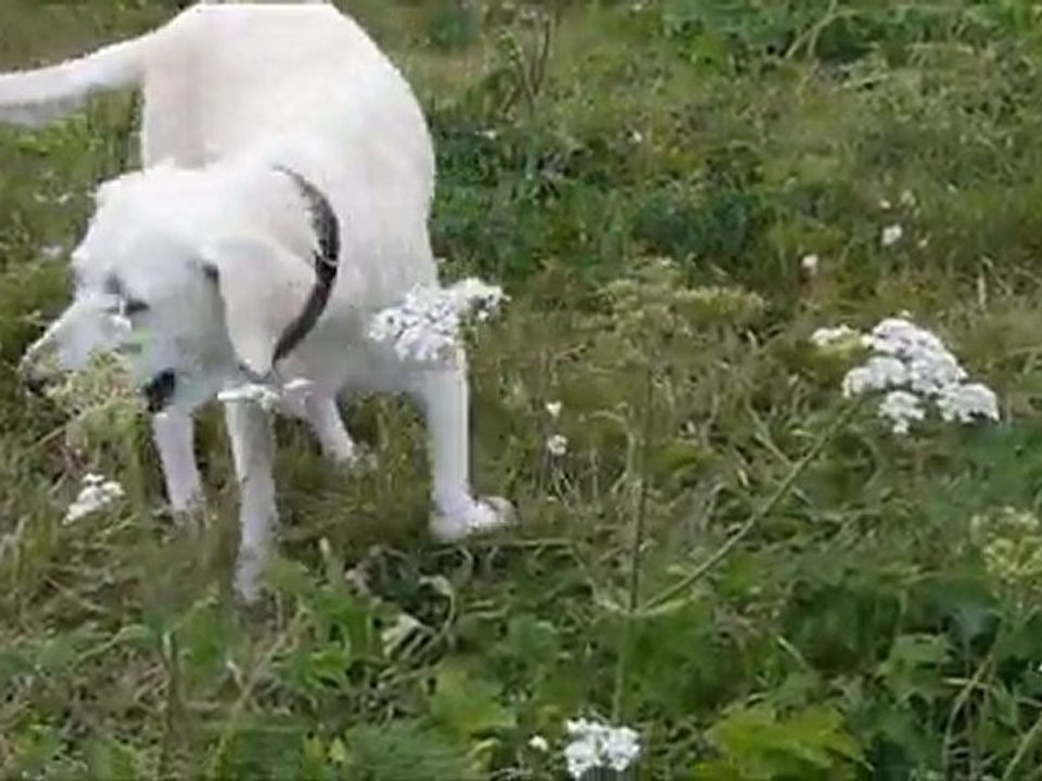 Les vacances entrainoises de Réna