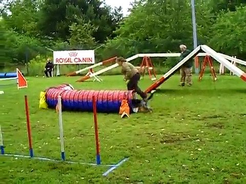 Dixie concours agility Ham open+ 17/07/2011