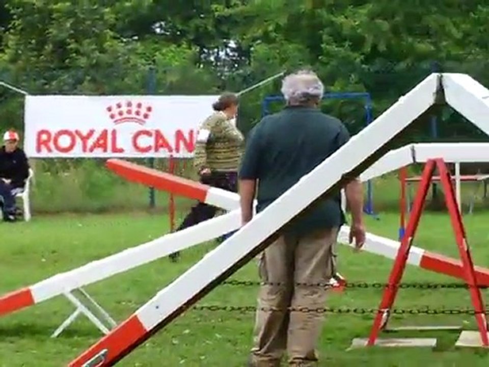 Dixie Concours d'agility Ham GPF 17/07/2011