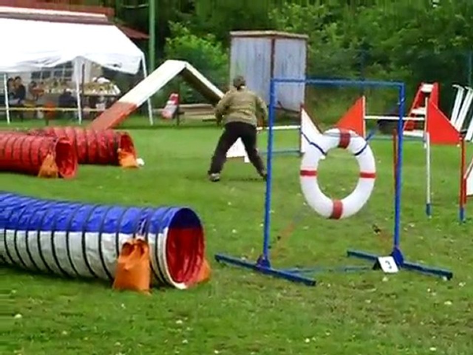 Dixie Concours d'agility Ham Jumping+ 17/07/2011