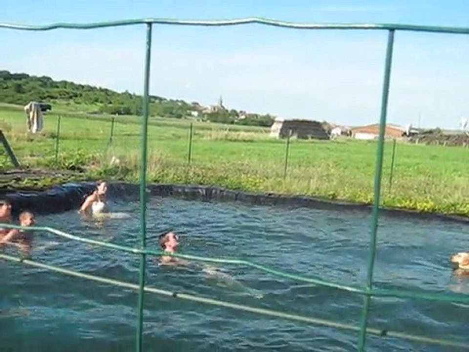Plongeon