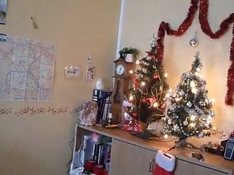 v3- Le sapin à la maison