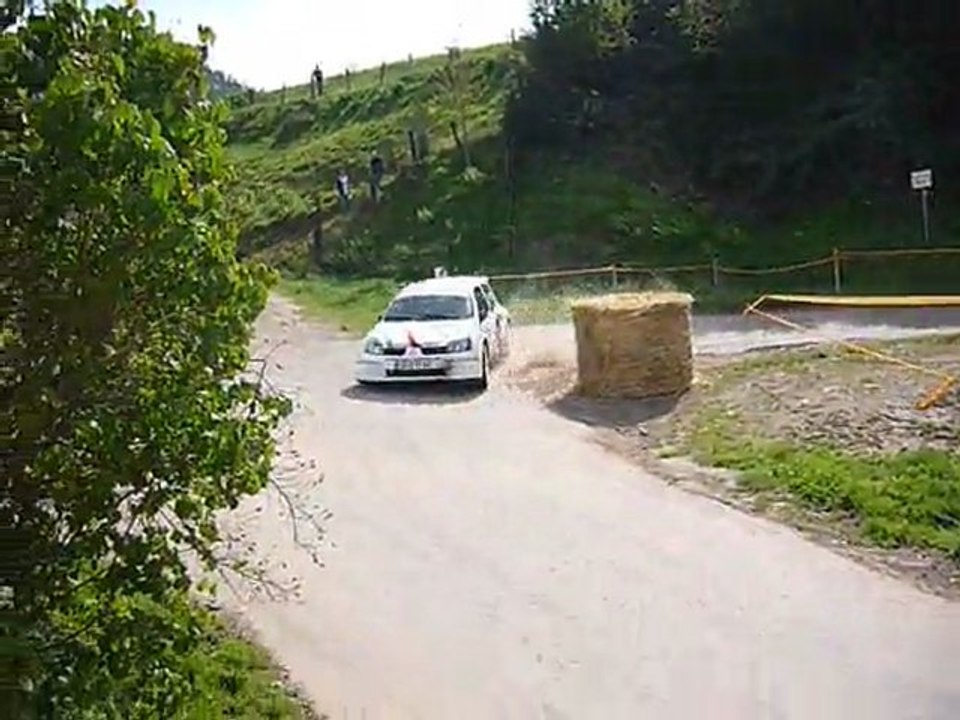 Vosgien 2010