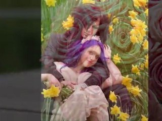 York Wedding Photography / Testimonials