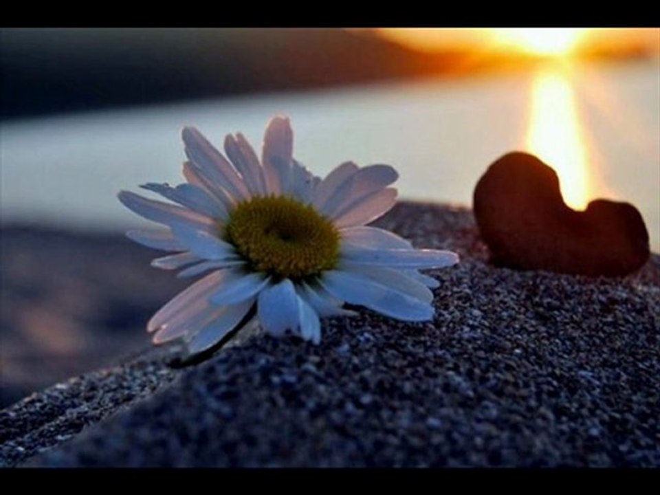 TANER YÜNCÜOĞLU BİR KUTSAL YÜK OMUZLARDA