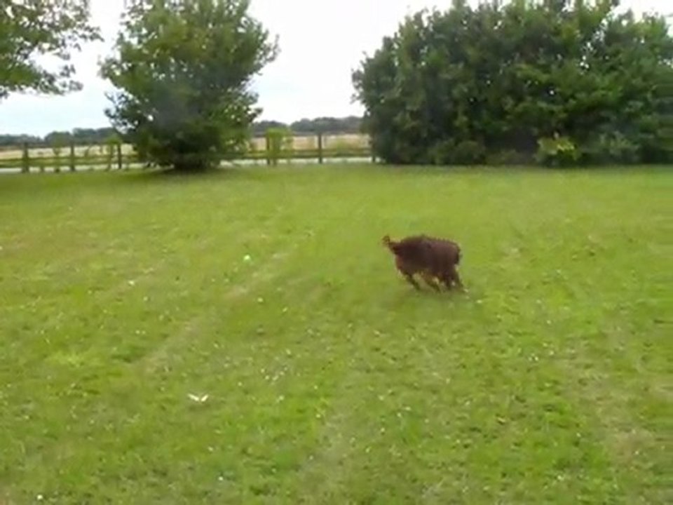 play time