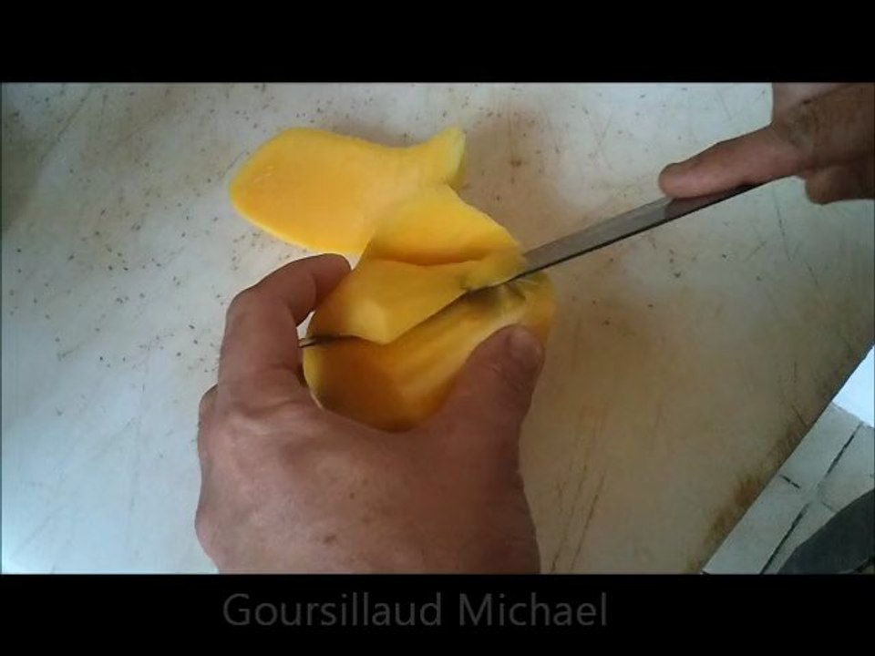 mangue