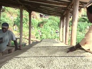 Arabic-web-Coffee machine that channels more money to farmers