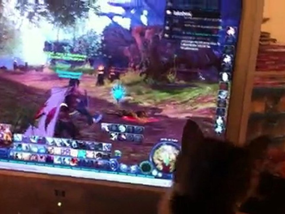 kitty ^^