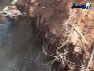 ربورطاج - كارثة بيئية بمحمية واد  ملوية