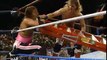 Bret Hart vs. Shawn Michaels (Ladder Match)