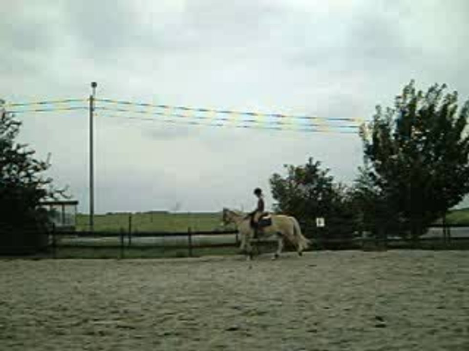 Moi et Vanille au pas en dressage