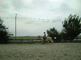 Moi et Vanille au pas en dressage