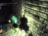 Guide Demon's Souls HD FR 044