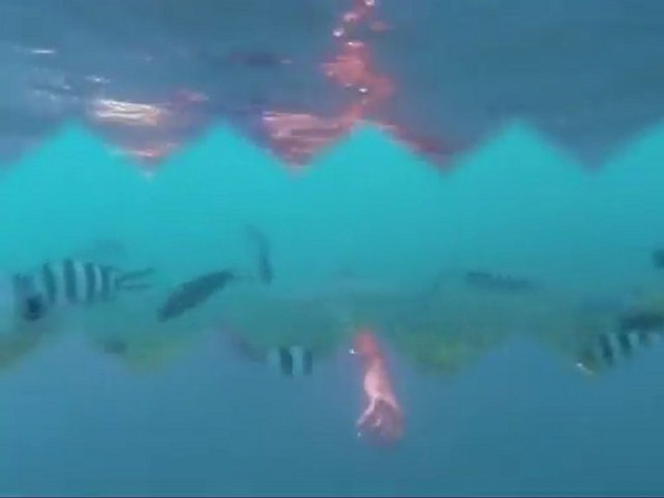 Matt Snorkeling Trip Perhentian Island Malaysia