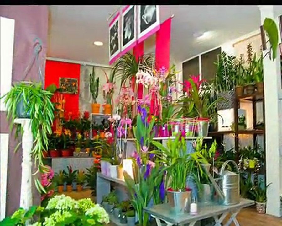 Présentation Elodéa