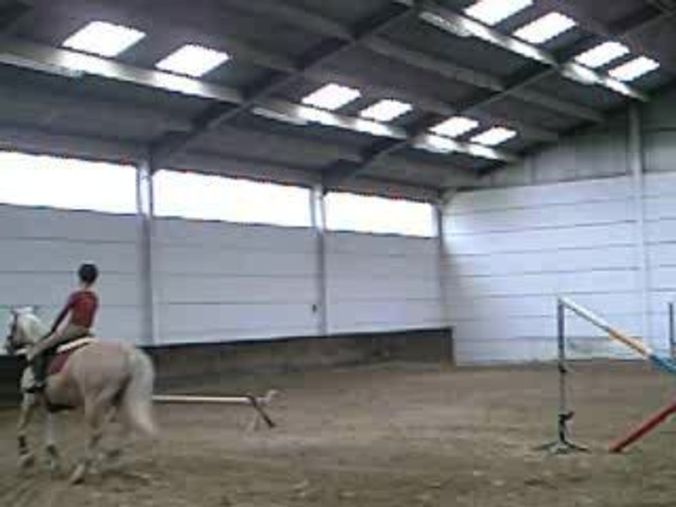 Moi avec Vanille à l'obstacle