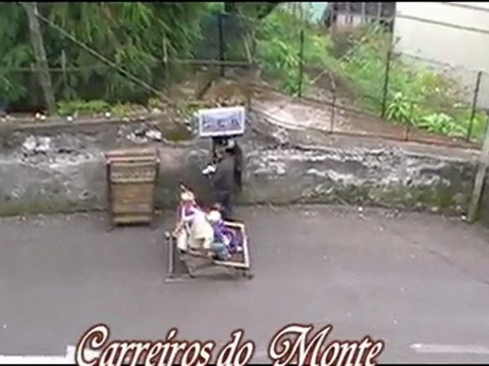 2011-funchal park oiseaux & toboggan & tour en bus panoramique