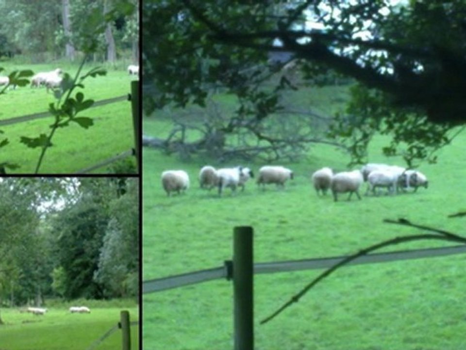 Ballades Juillet 2011