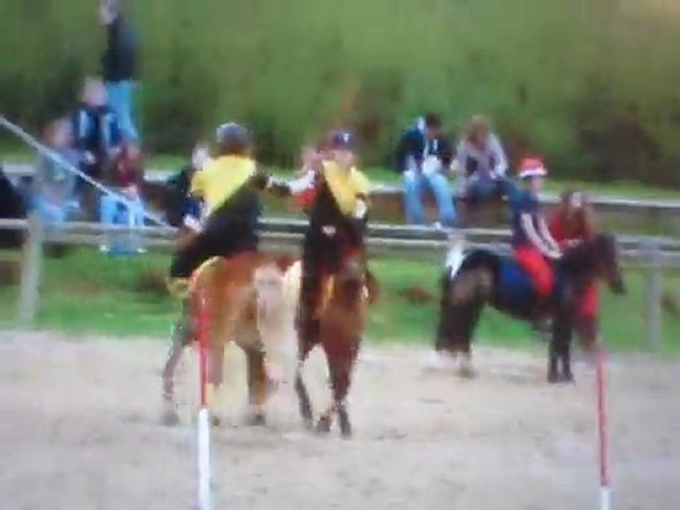 " Apprenez à écouter ce que votre cheval murmure à votre oreille." Imprévue ♥