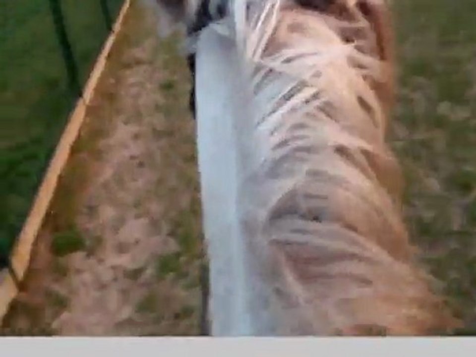 Projet Arts Plastiques