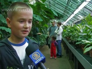 Прогуляться по джунглям в центре Петербурга