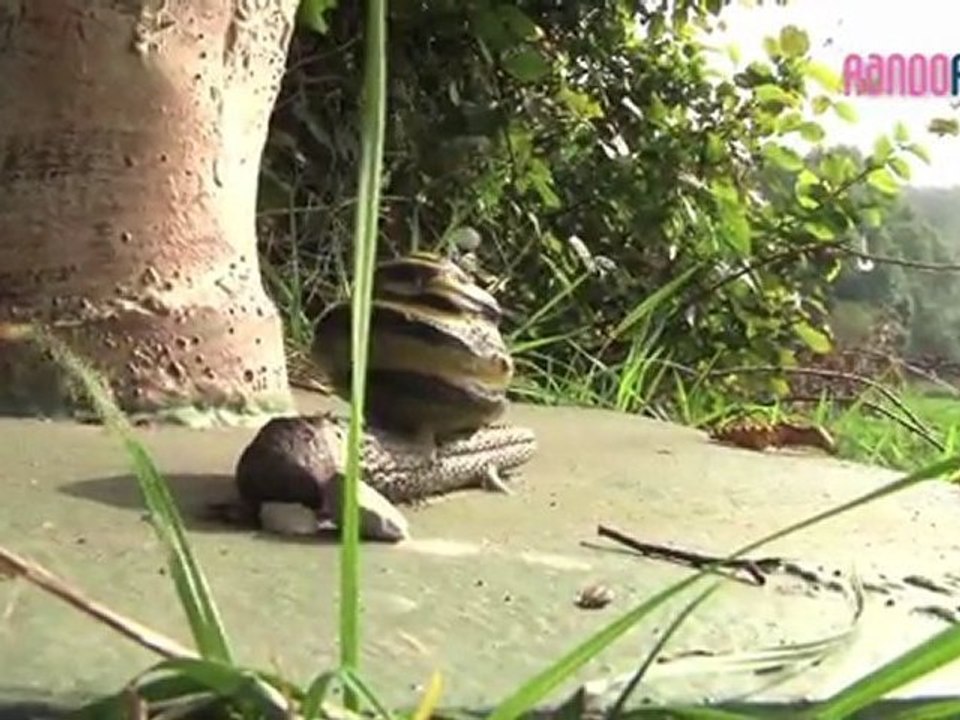 Rando Famili - Etrange et légendes en Wallonie picarde