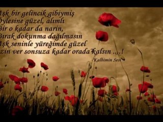 Kıraç gelincik  - Yepyeni Klip