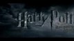 Pré-estréia - Harry Potter e as Relíquias da Morte Parte 2 - ASSN