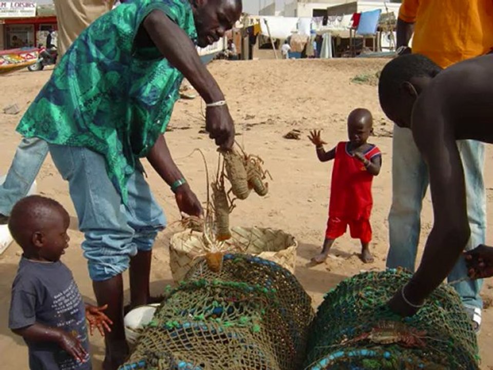 senegal-saly