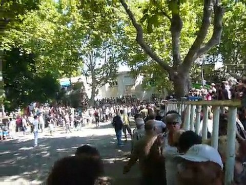 lacher de taureaux dans les rues de lunel c'est la pescalune vidéo1