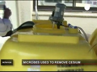 Microbi e batteri contro le radazioni
